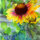 Indian Blanket Flower