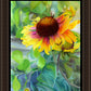 Indian Blanket Flower