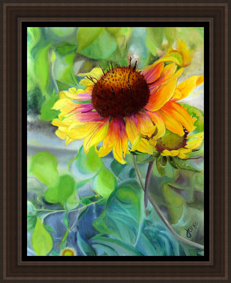 Indian Blanket Flower