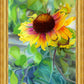 Indian Blanket Flower