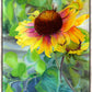 Indian Blanket Flower