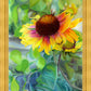 Indian Blanket Flower