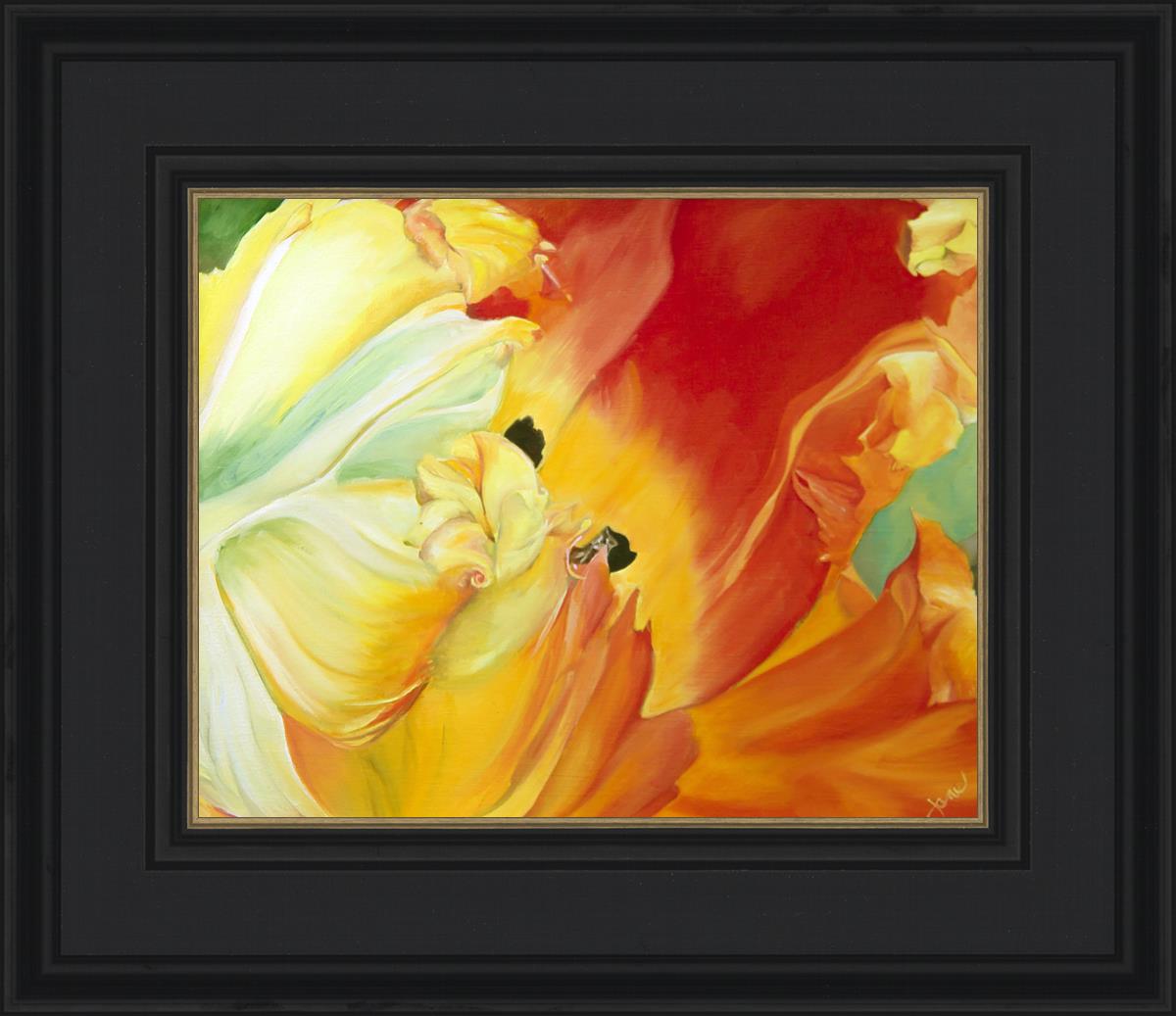 A Tulip for Fiona