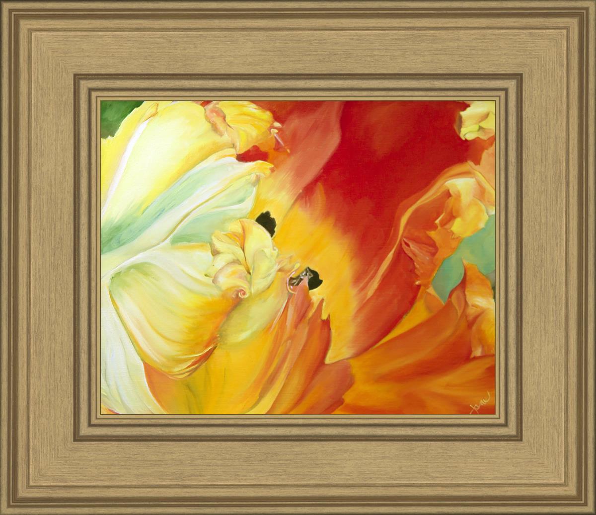 A Tulip for Fiona