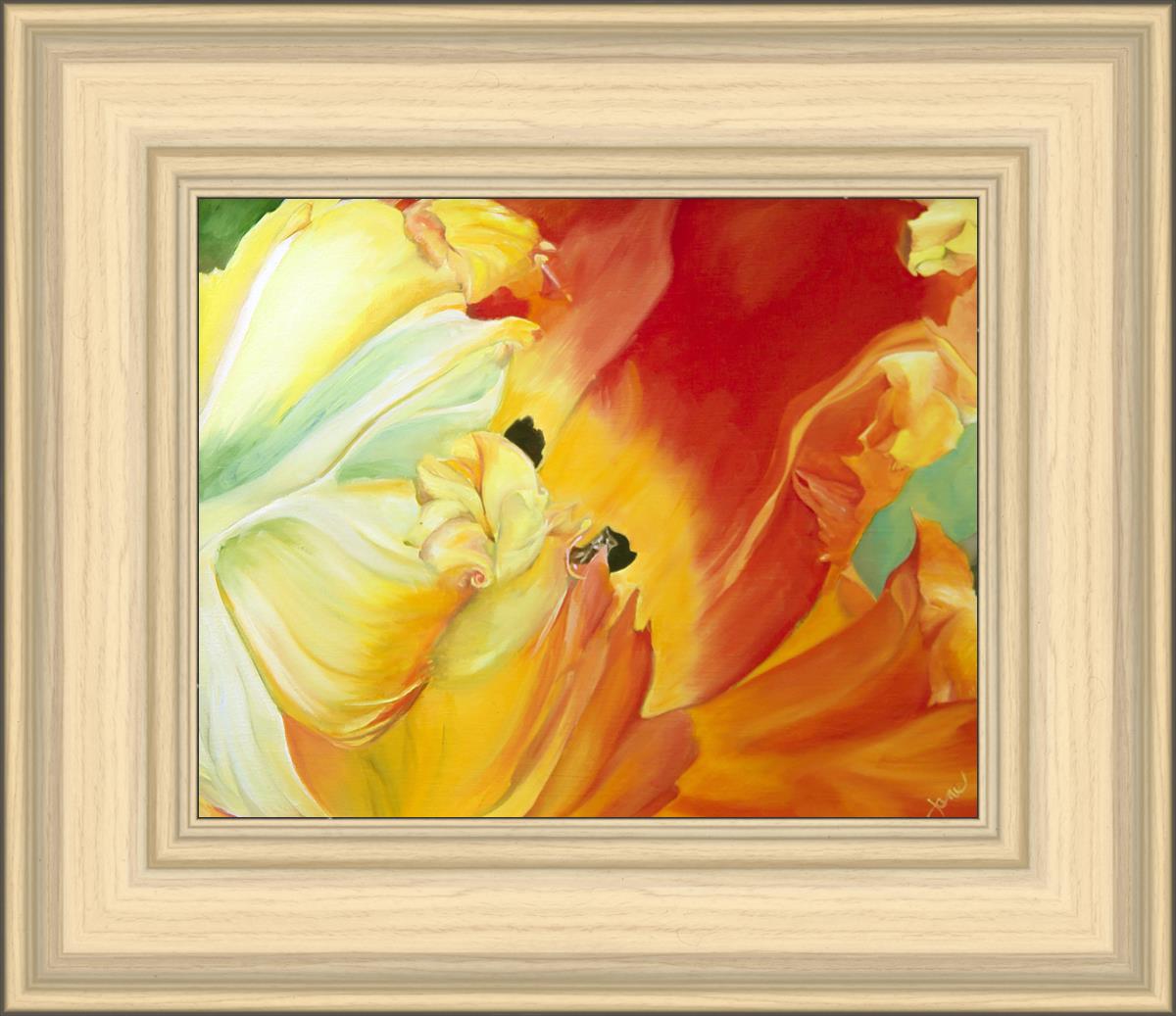 A Tulip for Fiona