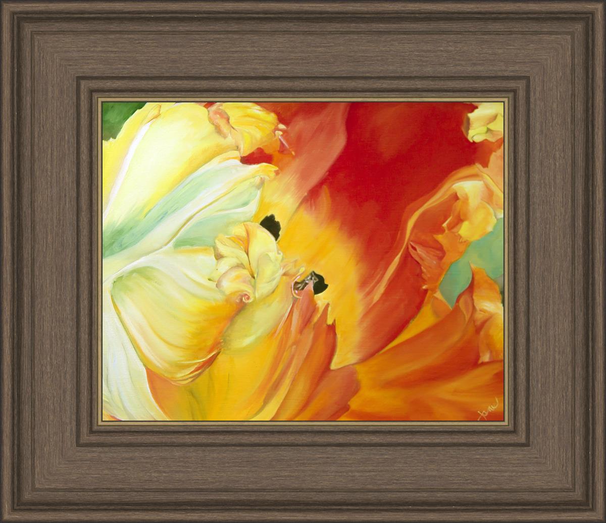 A Tulip for Fiona