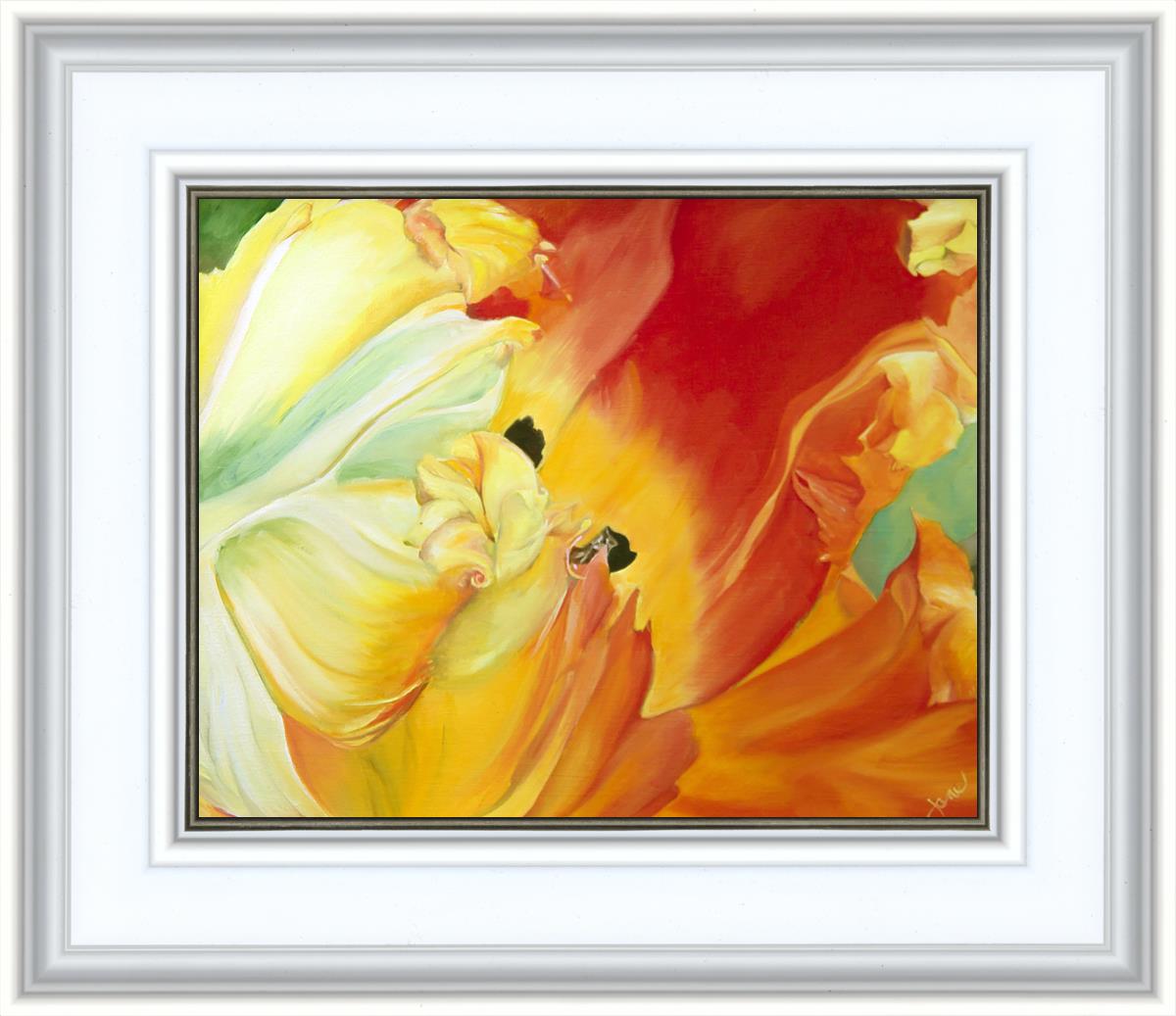 A Tulip for Fiona