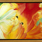 A Tulip for Fiona