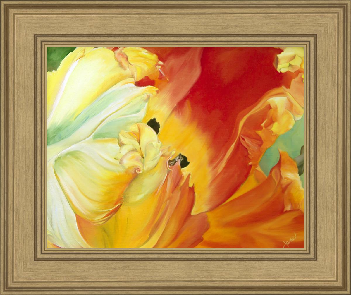 A Tulip for Fiona