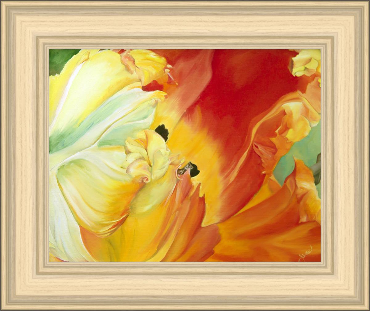 A Tulip for Fiona