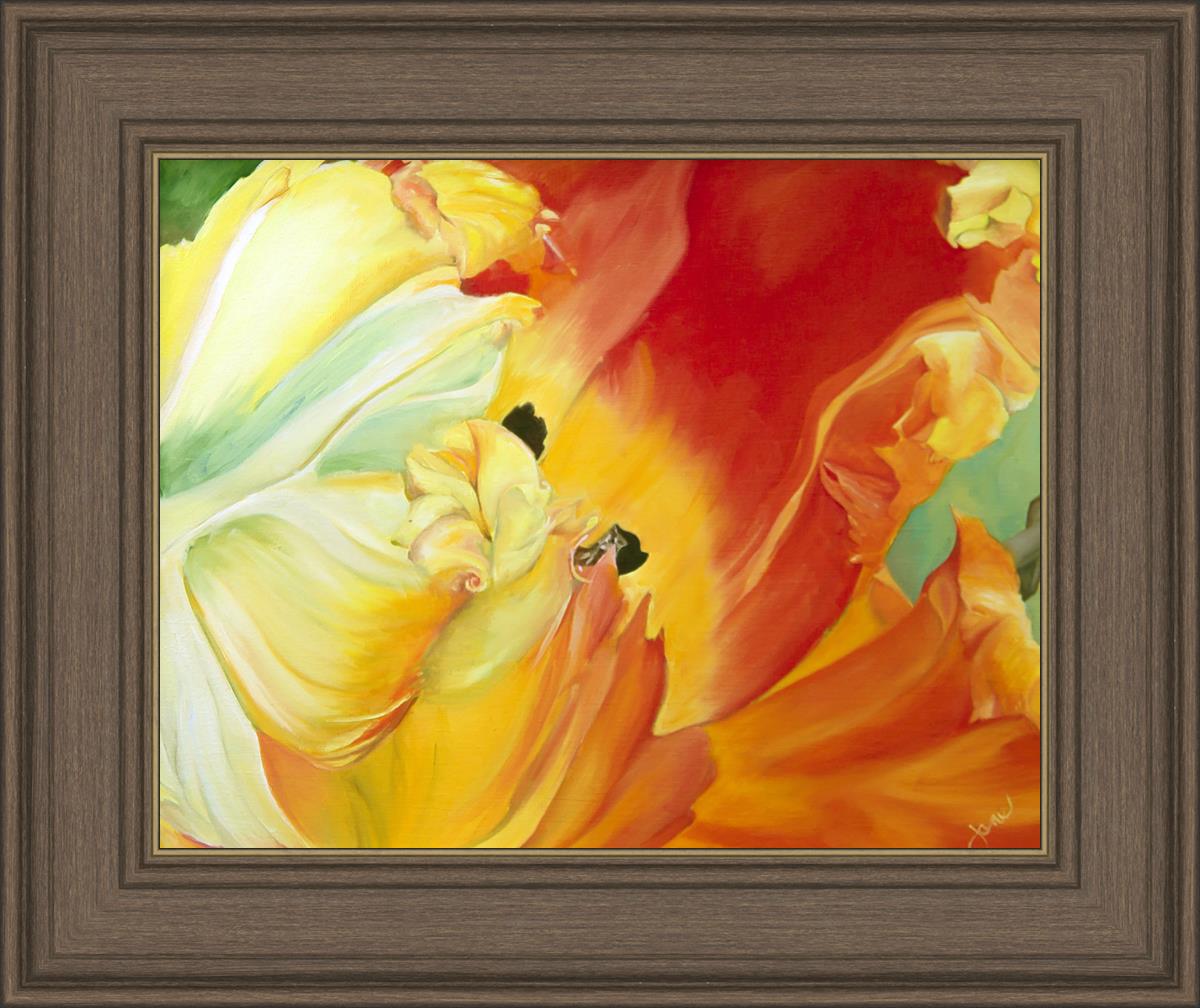 A Tulip for Fiona