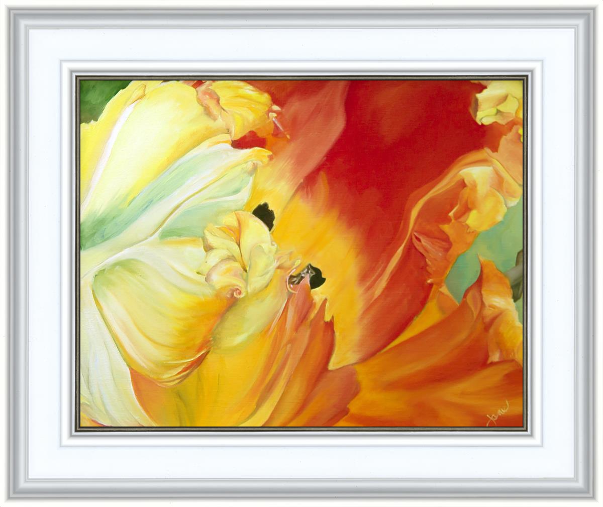 A Tulip for Fiona