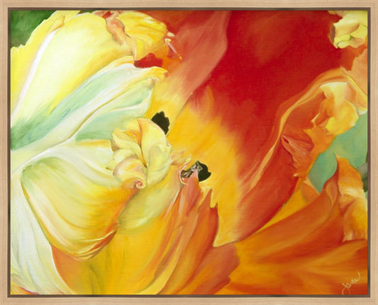 A Tulip for Fiona