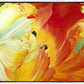 A Tulip for Fiona