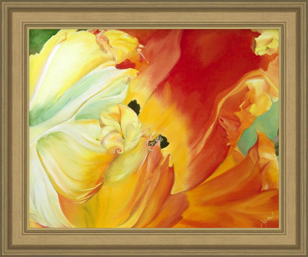 A Tulip for Fiona