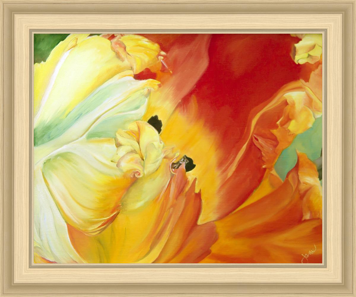 A Tulip for Fiona