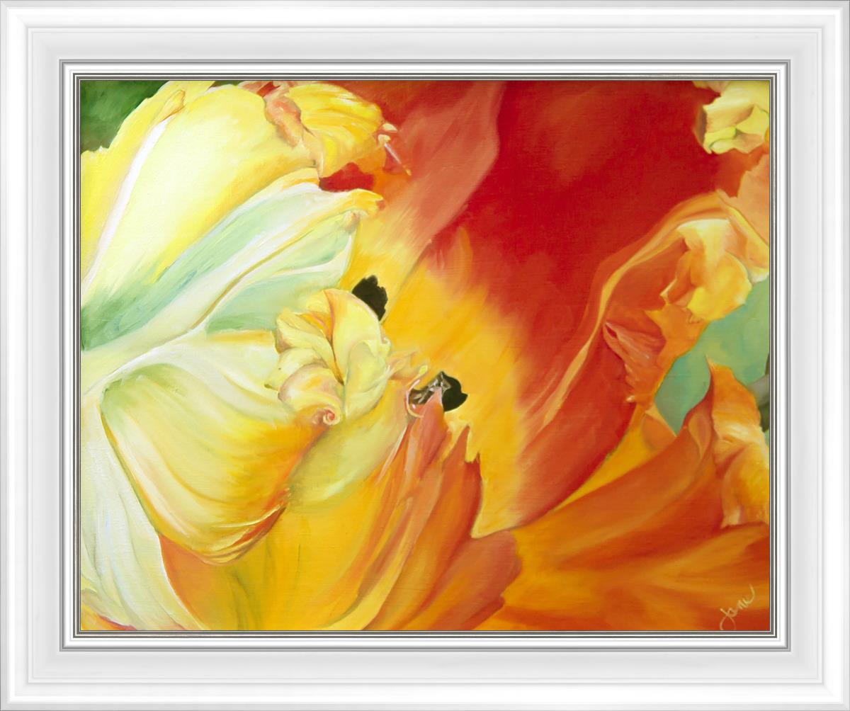 A Tulip for Fiona