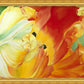 A Tulip for Fiona