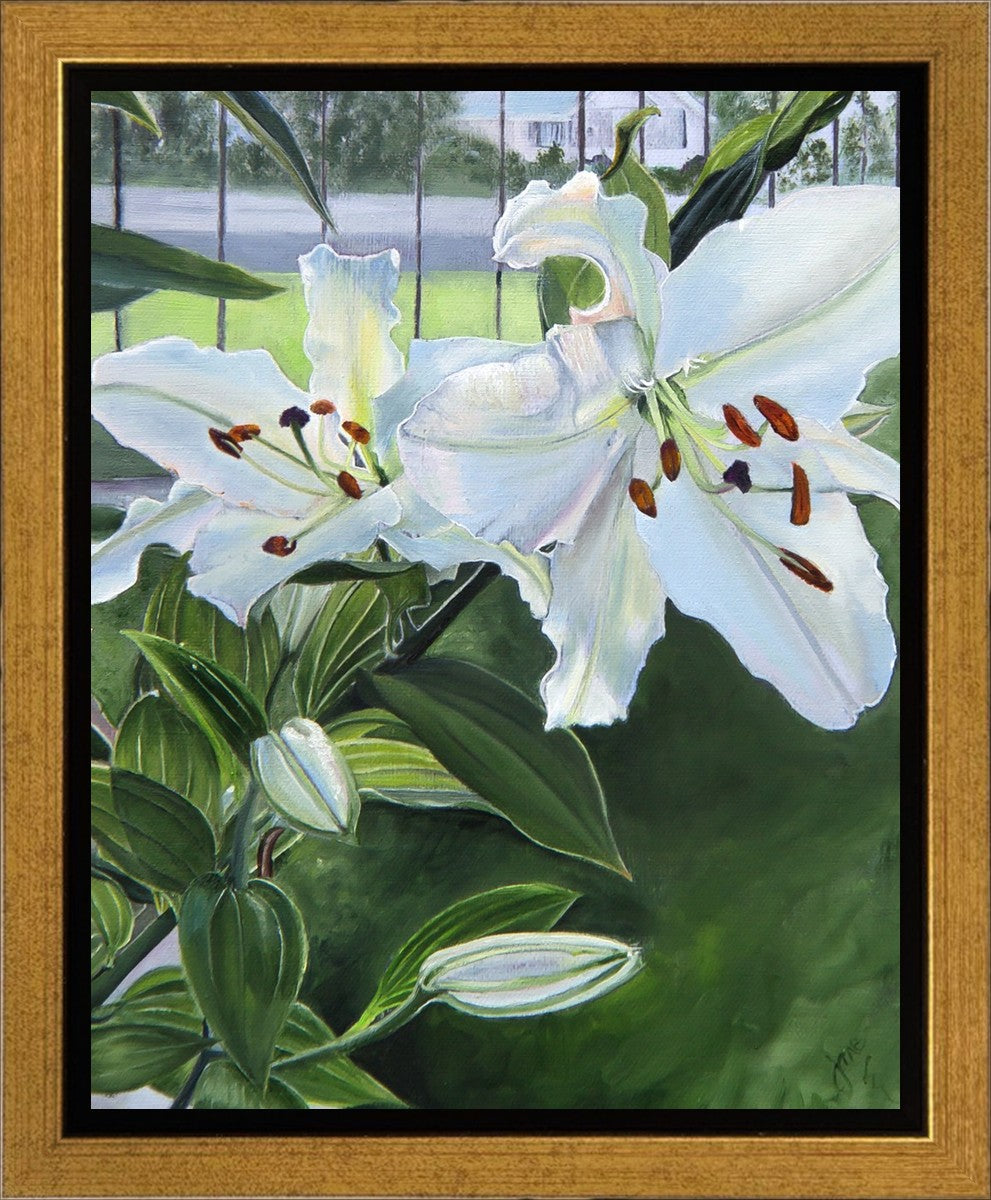 Luscious Lillies