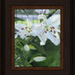Luscious Lillies