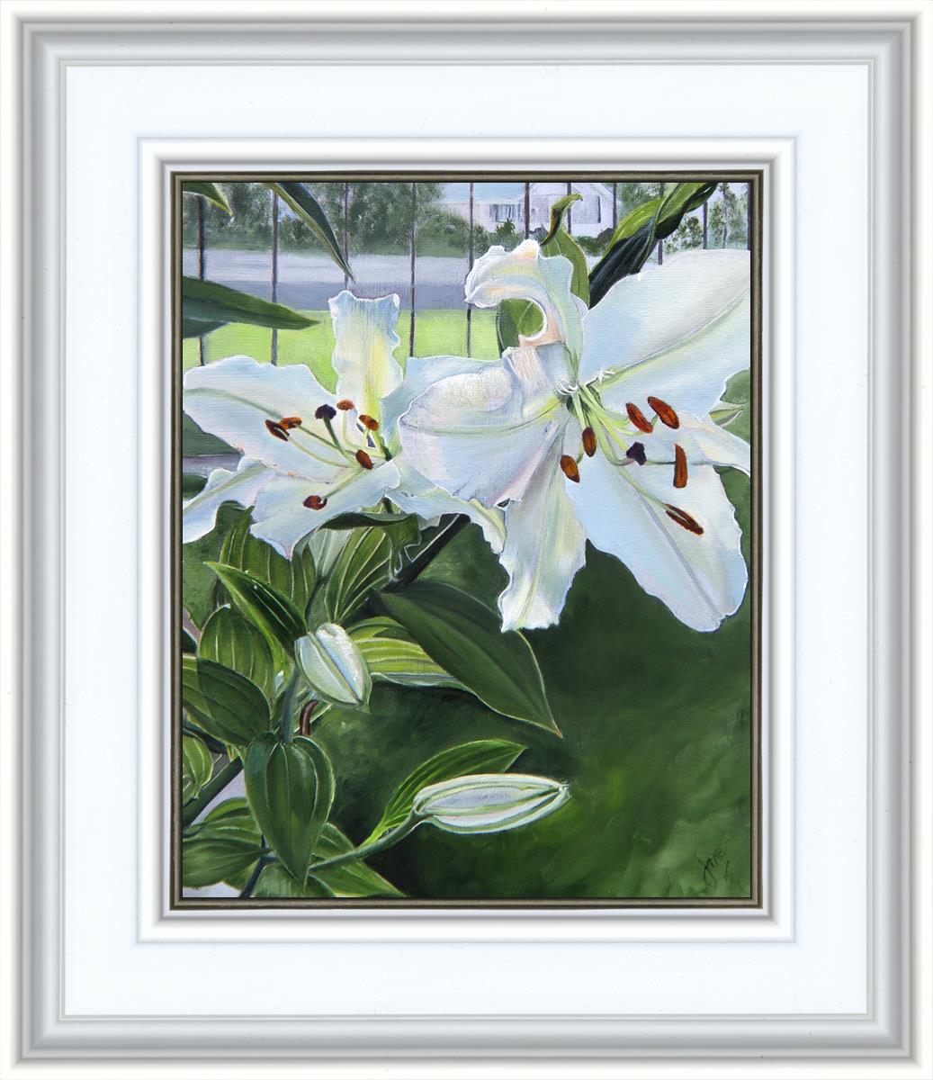 Luscious Lillies