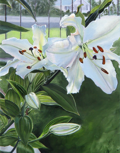 Luscious Lillies