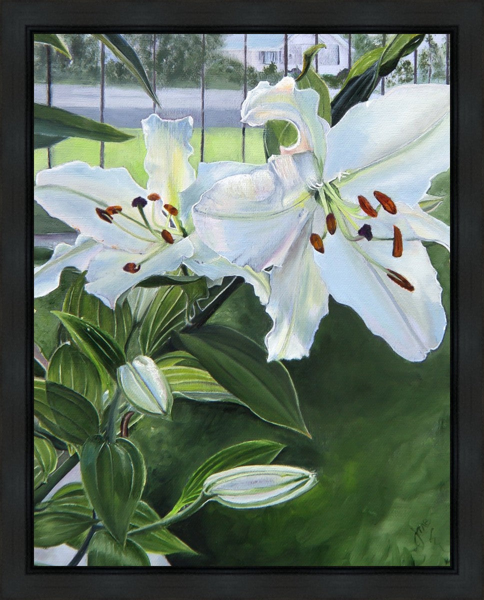 Luscious Lillies