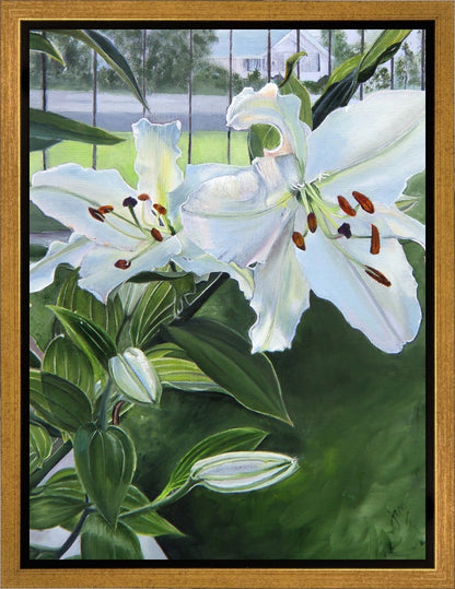 Luscious Lillies
