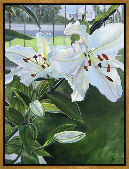 Luscious Lillies