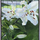 Luscious Lillies