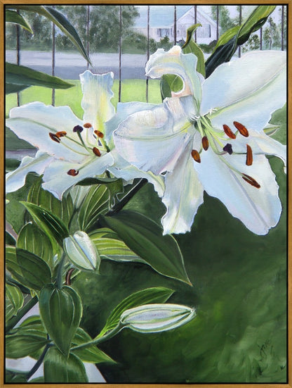 Luscious Lillies