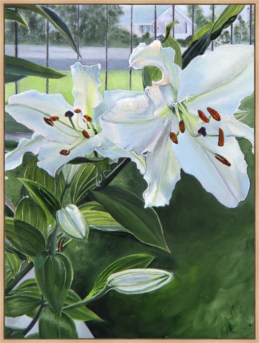 Luscious Lillies