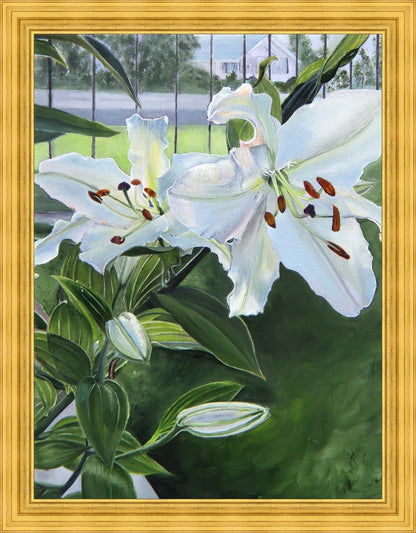 Luscious Lillies