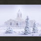 Fort Collins Shelter from the Storm