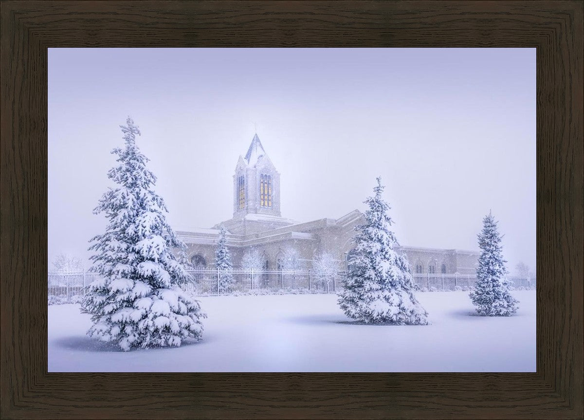 Fort Collins Protection from the Storm