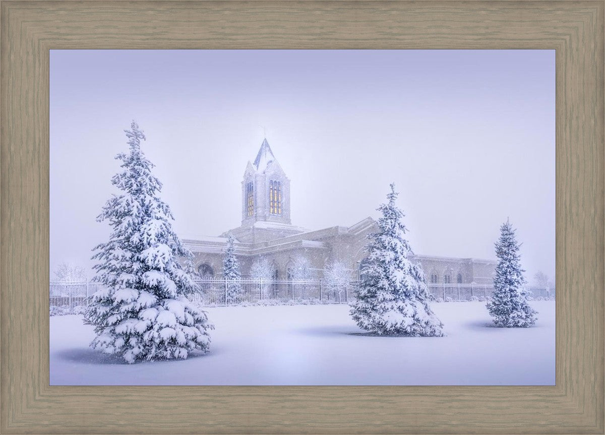 Fort Collins Protection from the Storm