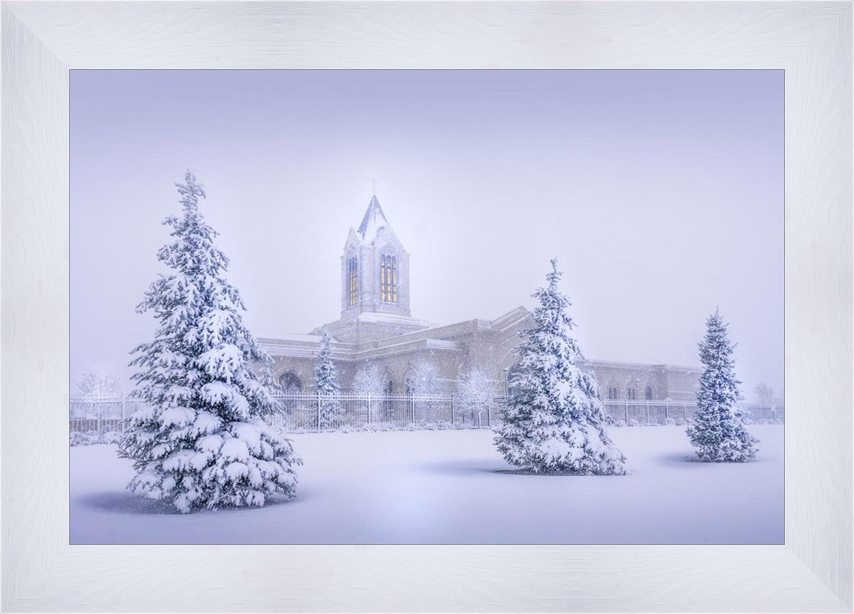 Fort Collins Protection from the Storm