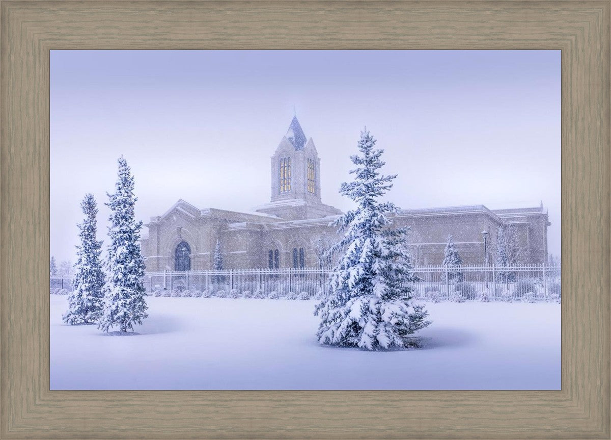 Fort Collins Storm Shelter