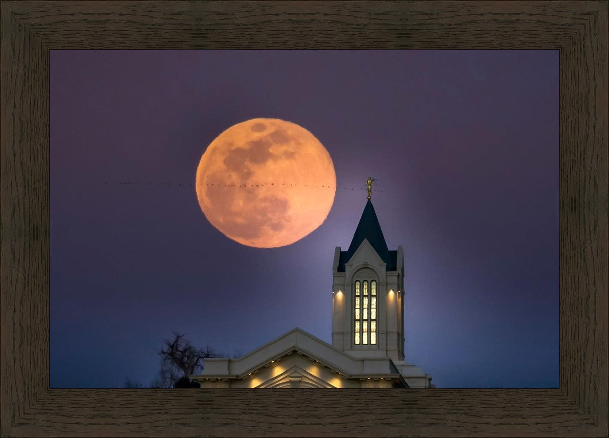 Fort Collins Night Flight