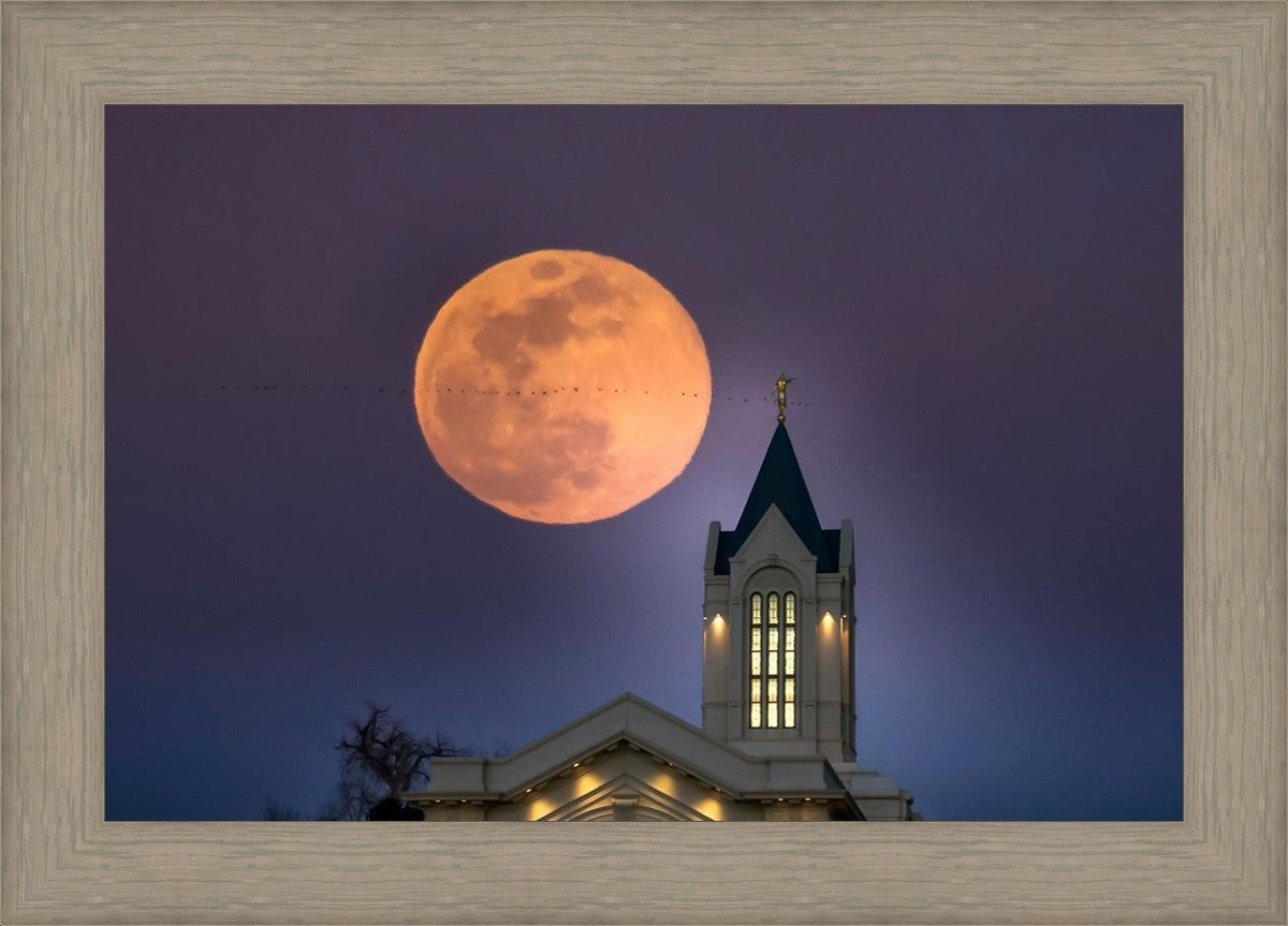 Fort Collins Night Flight