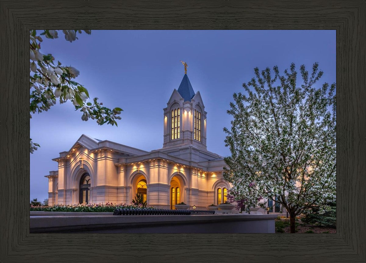 Fort Collins Dawn's Bouquet