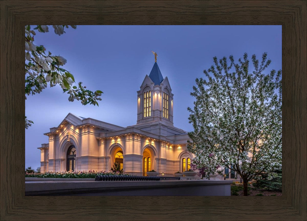 Fort Collins Dawn's Bouquet