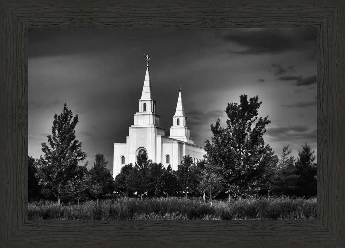 Kansas City Sentinel on the Plains