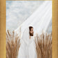 The Good Seed