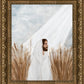 The Good Seed