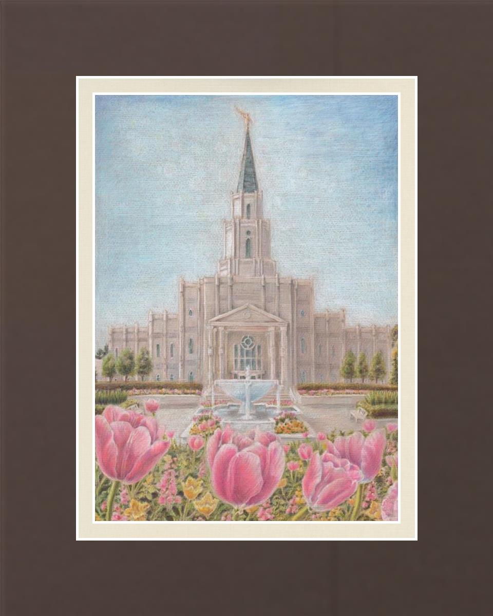 Houston Temple Sacred Haven