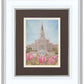 Houston Temple Sacred Haven