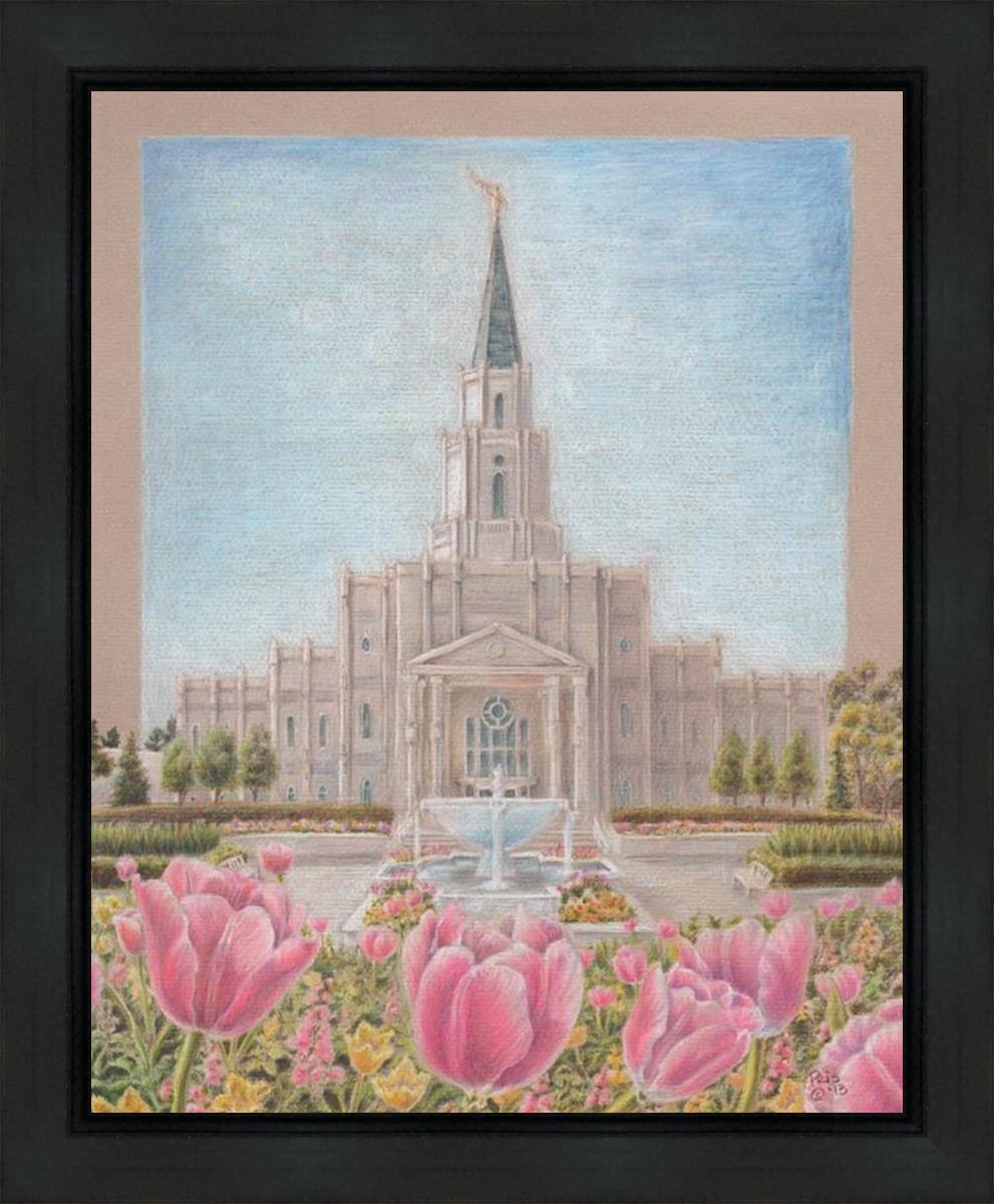 Houston Temple Sacred Haven
