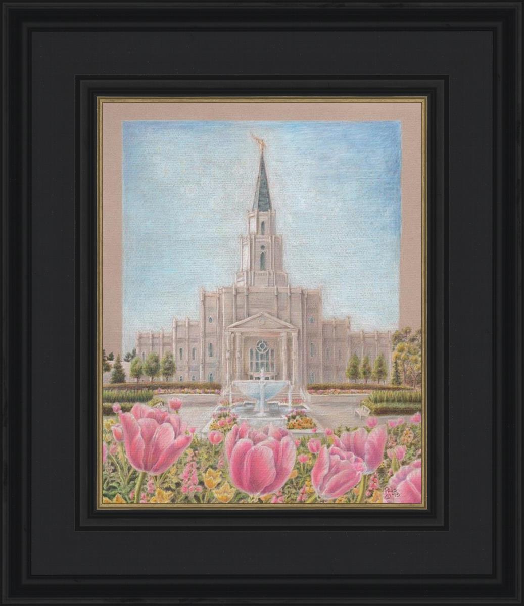 Houston Temple Sacred Haven