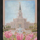 Houston Temple Sacred Haven
